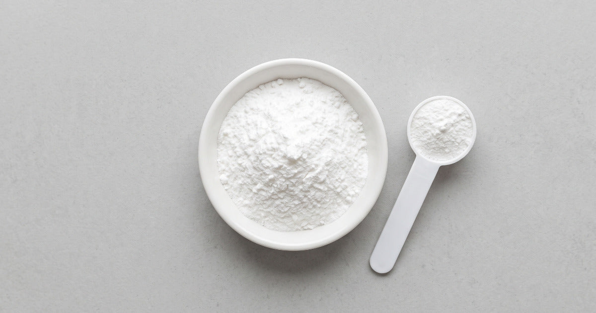 Creatine monohydrate powder and scoop on a clean background